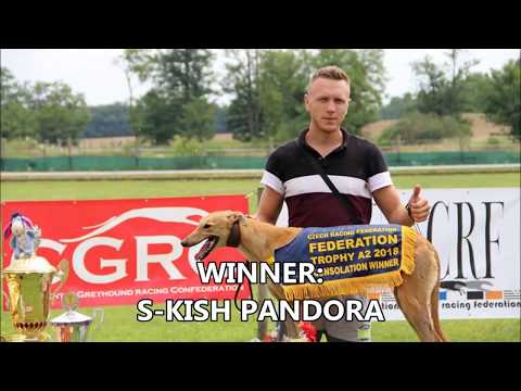 FEDERATION TROPHY A2 CONSOLATION 08/07/18