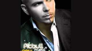 pitbull - prueba