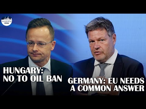 Germany's Habeck warns Hungary against blocking efforts of EU on Russian oil embargo