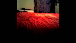 Jumping on the bed 1 Jumping on the bed 1