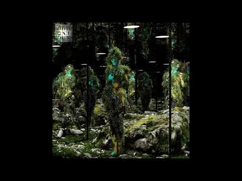 Yotto, SØNIN, AunA - Let You Go (Extended Mix) [Odd One Out]