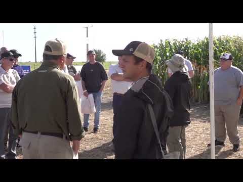 SOJA Y MAÍZ: Jornada a campo en Gálvez (Santa Fe)