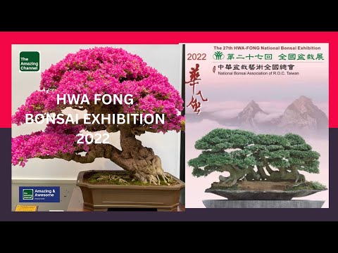 AMAZING BONSAI SHOW # Hwa Fong Bonsai Exhibition 2022, R.O.C. TAIWAN.