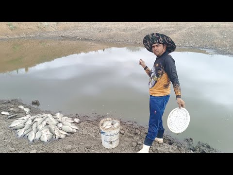A SECA CASTIGA O CEARÁ EM 2025 É OS PORÕES DO AÇUDE FICA COMPLETO DE PEIXES