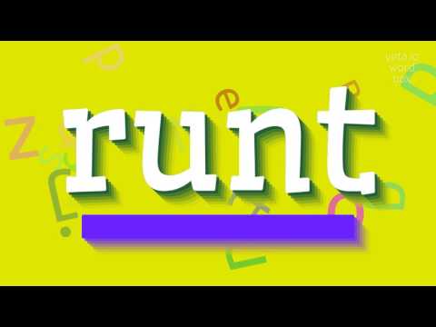 How to say "runt"! (High Quality Voices)