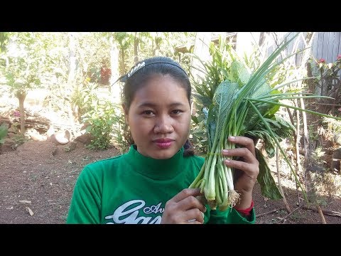 Awesome Cooking Pork Mixed Vegetable Soup Recipe - Cook Pork Soup Recipes - Village Food Factory