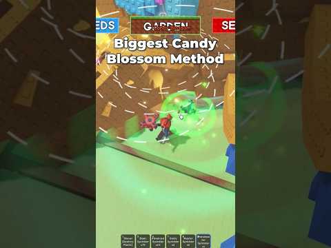 New Best Candy Blossom Method in Grow a Garden #roblox #growagarden