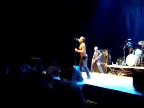 Iggy and the stooges live 16.9.2008
