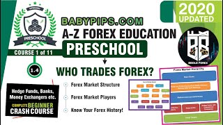 Who Trades Forex? - Course 1.4: PreSchool - Babypips Forex Education
