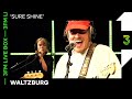 Waltzburg live met 'Sure Shine' | 3FM Live Box | NPO 3FM