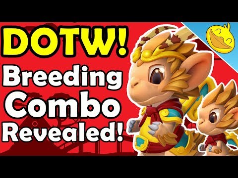 SUNRISE DRAGON Next DOTW! + Battling Level 80 HATHOR DRAGONS In The Arena! - DML #937