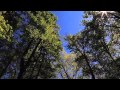 L'intense silence de la nature - par Benjamin DUEZ ...