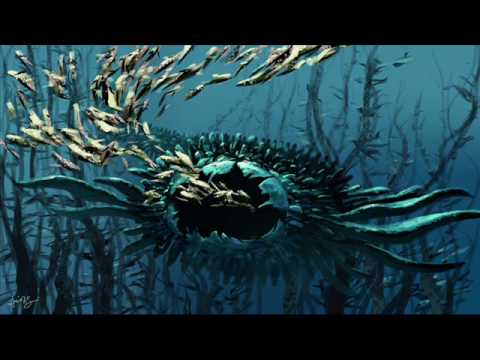 Gridlok: Bottom Feeder