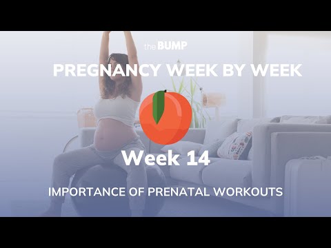 This week in Babyland (Week 14)