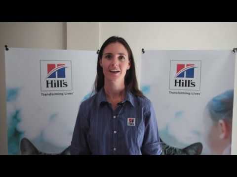 Over-Feeding Your Dog Or Cat? Make Your Own Food Portion Cup!