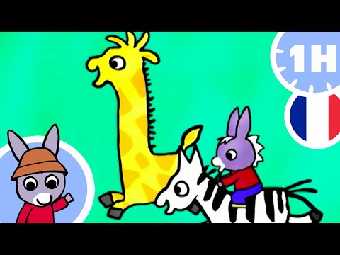 🐯 Trotro et le monde des animaux ! 🐯 - Dessin Animé pour Bébé