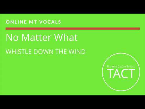 No Matter What (Whistle Down The Wind) - Backing Track