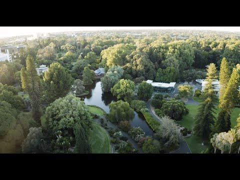 Adelaide Botanic Garden