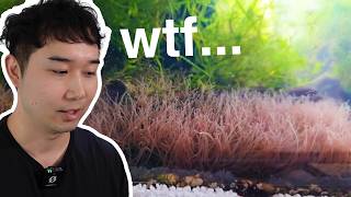 You WON'T BELIEVE what they used to decorate this fish tank | Fish Tank Review 330