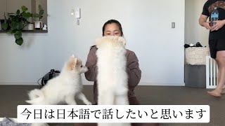 聞いて下さい【オーストラリア在住の女】
