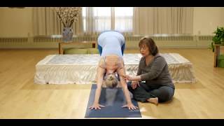 Judith Hanson Lasater: The Scapula is the Root of the Shoulder