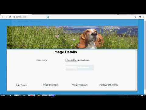 Animal Classification using CNN and Faster RCNN