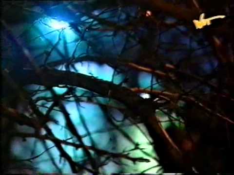 33 Rajd Barbórka Warszawska 1995 - OS Karowa - relacja TV WOT