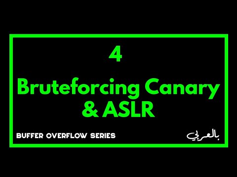 Lesson 4 | Bypassing Canary and ASLR with bruteforce