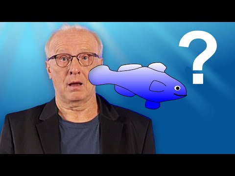 RAUMZEIT - Was ist das NICHTS? | Astrophysik & Kosmologie #3