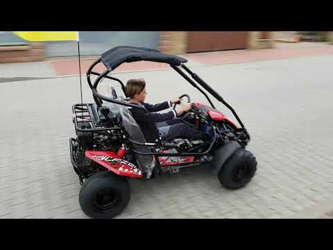 MUDROCKS Gt 200 Mid size family Buggy (DELIVERY) - Image 2