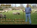 Guided Spiritual Meditation Relaxation Energising The Aura Chakra