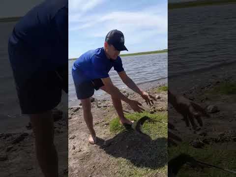 Acampada de turismo,en el Lago de la Palma, Departamento de Rio Negro. !!!(R.S.P)