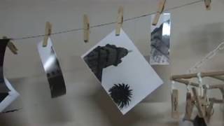Processo de revelação - exposição "Câmeras: entre o clique e a foto"