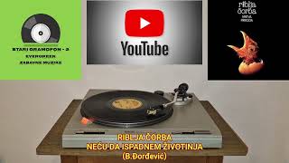 RIBLJA ČORBA - NEĆU DA ISPADNEM ŽIVOTINJA (LP-1981)