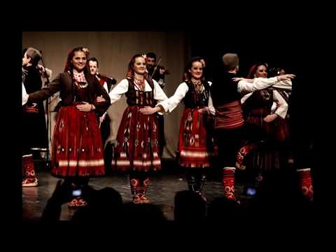 Srpsko kulturno društvo Maribor