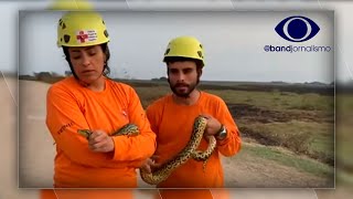 Miniatura do vídeo
