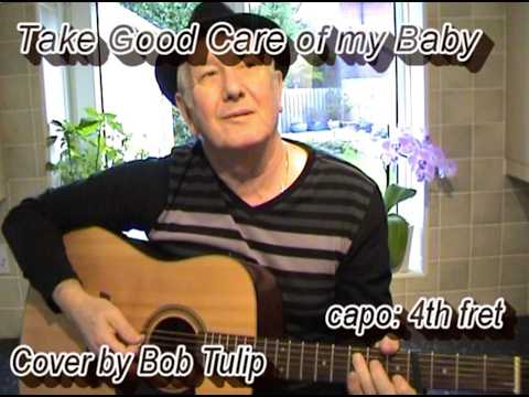 Take Good Care Of My Baby - Bobby Vee