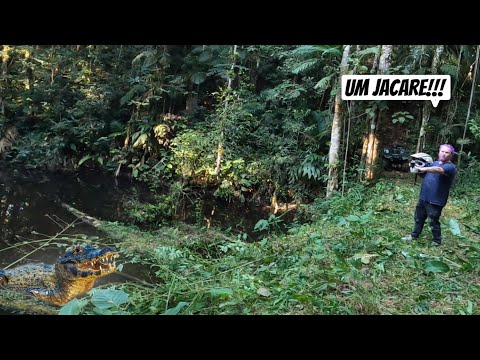 LIMPAMOS A TRILHA DO PÂNTANO COM O QUADRICICLO E A CG DE TRILHA.