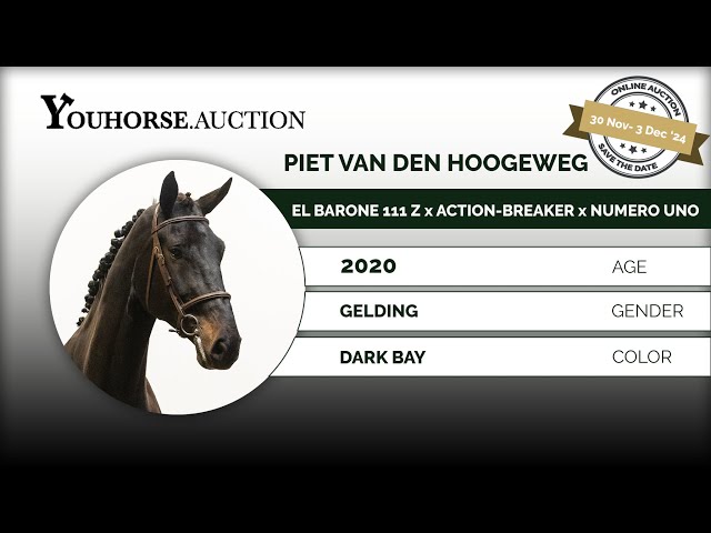 Piet van den Hoogeweg