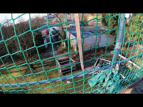 Fußgebinde ansetzen - Teil 55 - 21.01.2025 - Altdeutsche Deckung in Delbrück