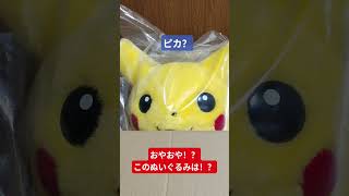 こ、このピカチュウのぬいぐるみは！？  #おかえりピカチュウ #ぬいぐるみ #タカラトミー