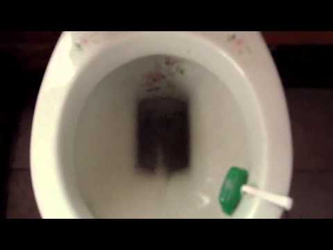 Flowery Toilet At Neighbours House