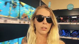 What Happens in Vegas, Stays in Vegas | VANLIFE