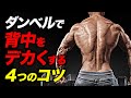 【筋トレ】ダンベルで背中を鍛える4つのコツ | ボディビルチャンピオンが解説【ビーレジェンド プロテイン】