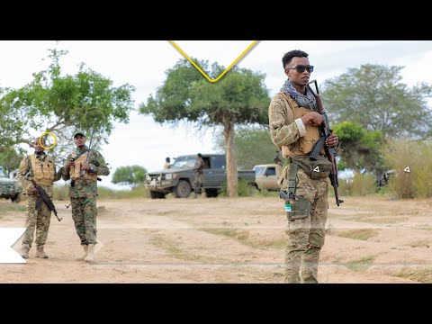 Äthiopien wird vorgeworfen, in der Region Gedo neue Guerillas organisiert zu haben.