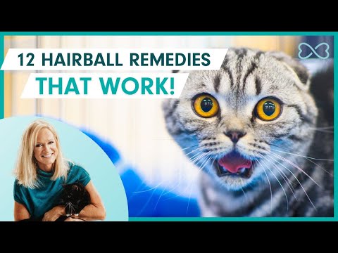 12 Remedies to Banish Cat Hairballs - That Actually Work!