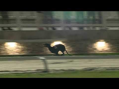 2021.09.24. 02. futam - Szeptemberi Trófea