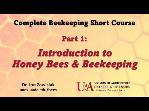 , title : 'Part 1: Intro to Beekeeping'