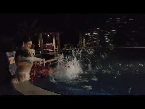 fun time#indranihalder  #indranihalderofficial