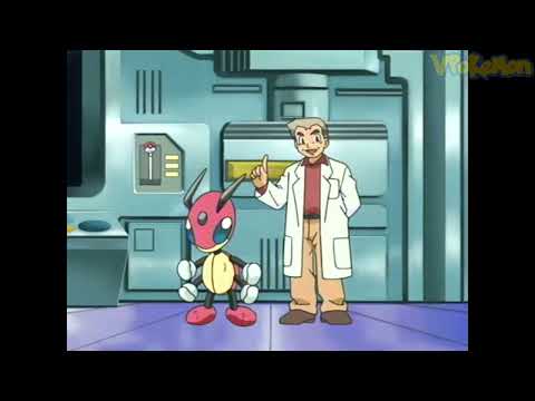 Ledian attacks Professor Oak | Professor Oak Funny Moments